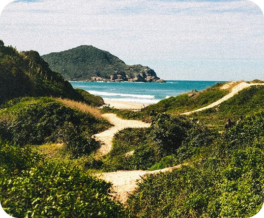 Vista panorâmica da Praia do Rosa com mar e vegetação